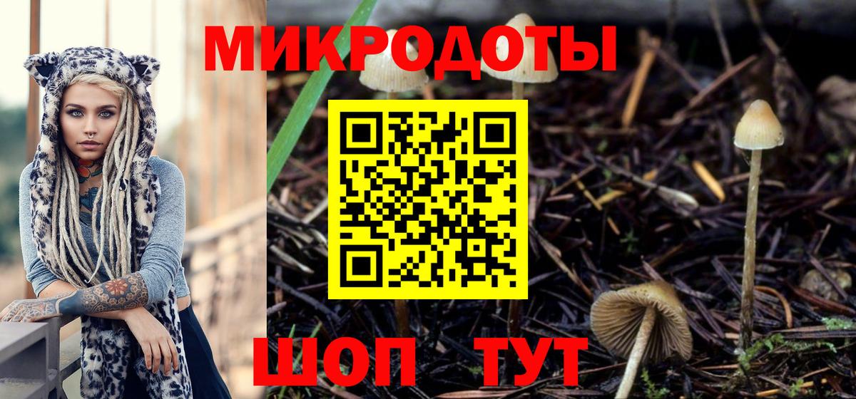 Галлюциногенные грибы GOLDEN TEACHER  Вход с VPN  Спасск-Дальний 